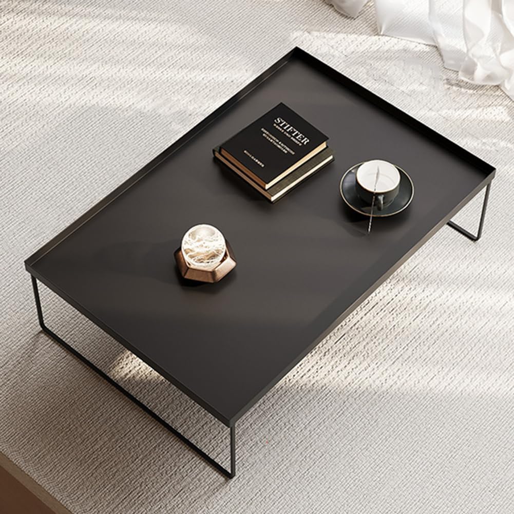 ノーチェ オーバル型ガラス天板センターテーブル（NOCE